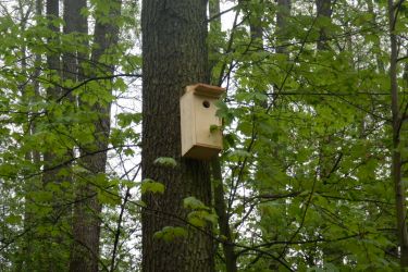 Nowe budki lęgowe dla ptaków i nietoperzy