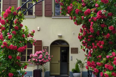 Oleśnicki Dom Spotkań z Historią otwarty dla zwiedzających 