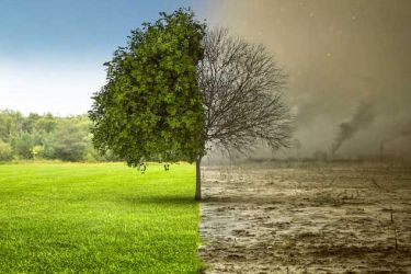 Podsumowanie jakości powietrza z czujników będących w posiadaniu Miasta Oleśnicy