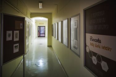 Pszczoła - mały wielki bohater