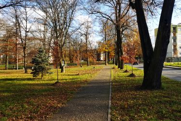 Sadzimy nową zieleń, niech miasto rozkwita