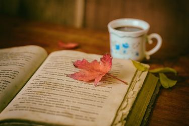 Harmonogram dyżurów i godziny otwarcia biblioteki w soboty w lutym