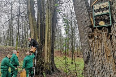 Osadzeni z oleśnickiego ZK wykonali budki lęgowe i domki dla owadów