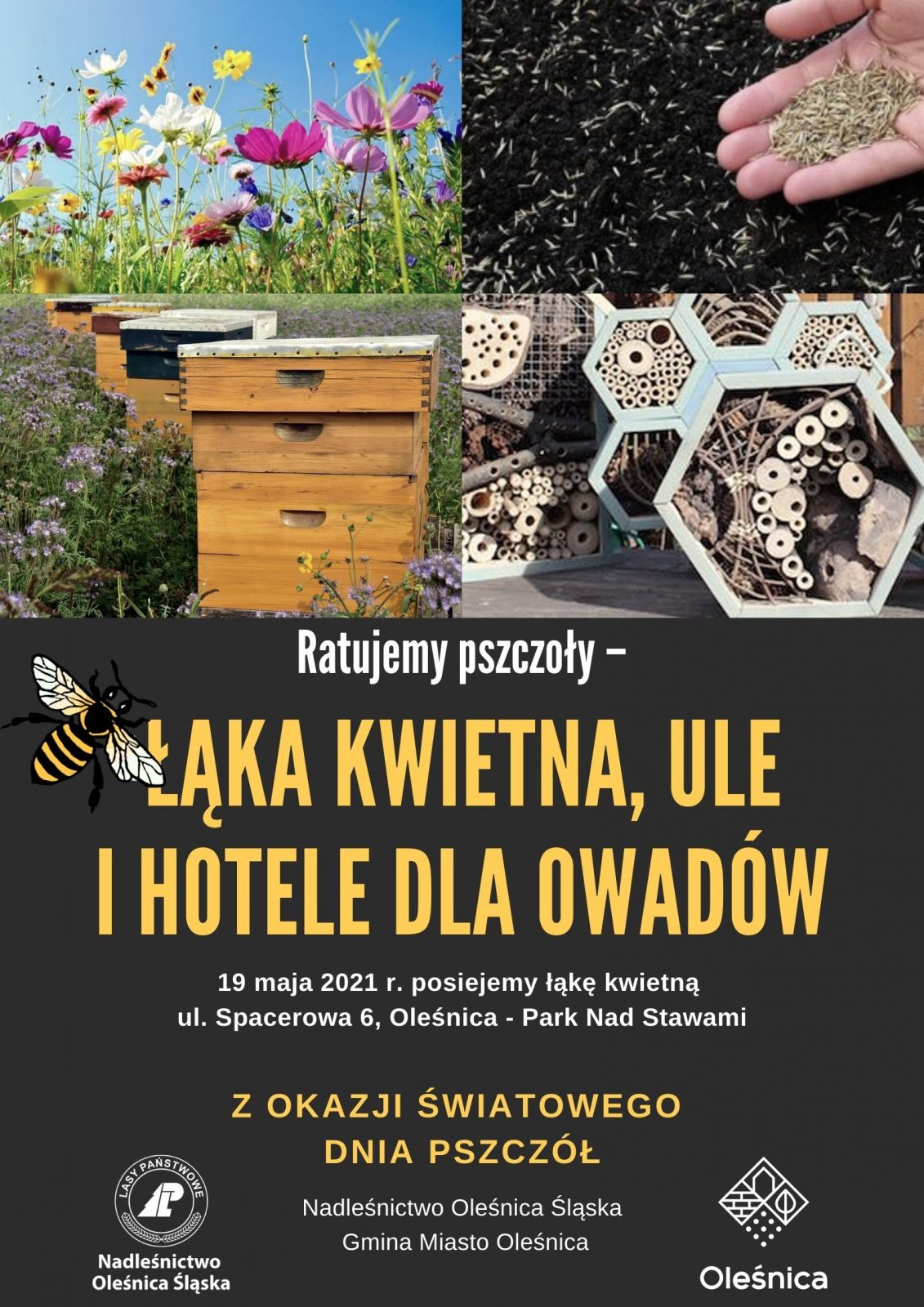 kwietna łąka