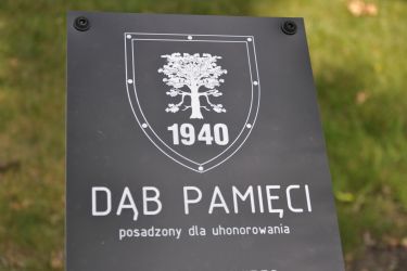 Zostały odrestaurowane imienne tabliczki umieszczone przy Dębach Katyńskich w parku przy ul. Klonowej