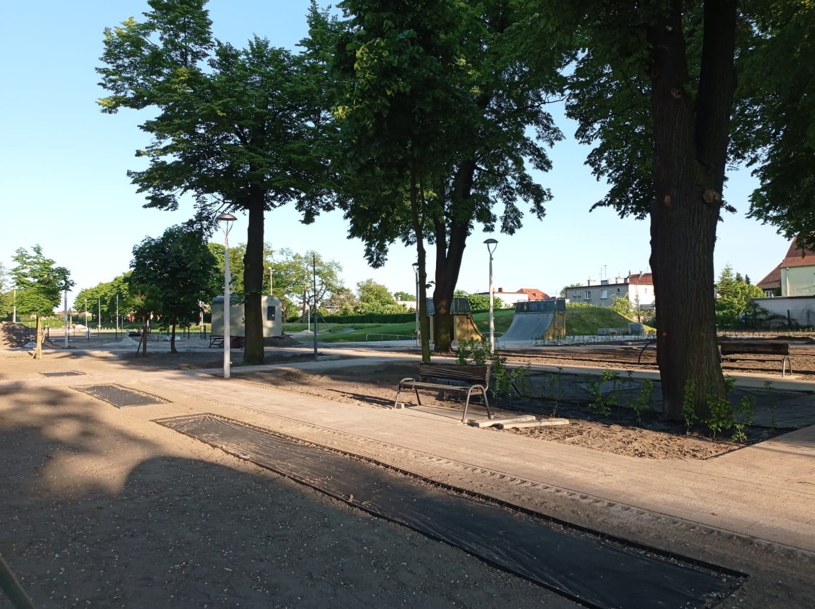 ławeczka w parku ławeczka w parku