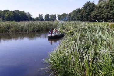 Ruszyły działania mające na celu oczyszczenie stawów przy ul. Kruczej