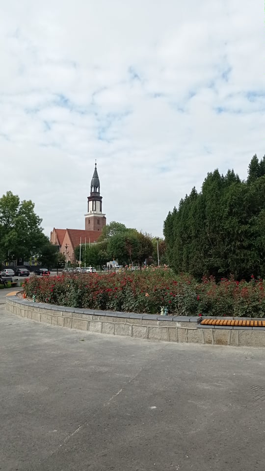 różanecznik i bloki różanecznik i bloki