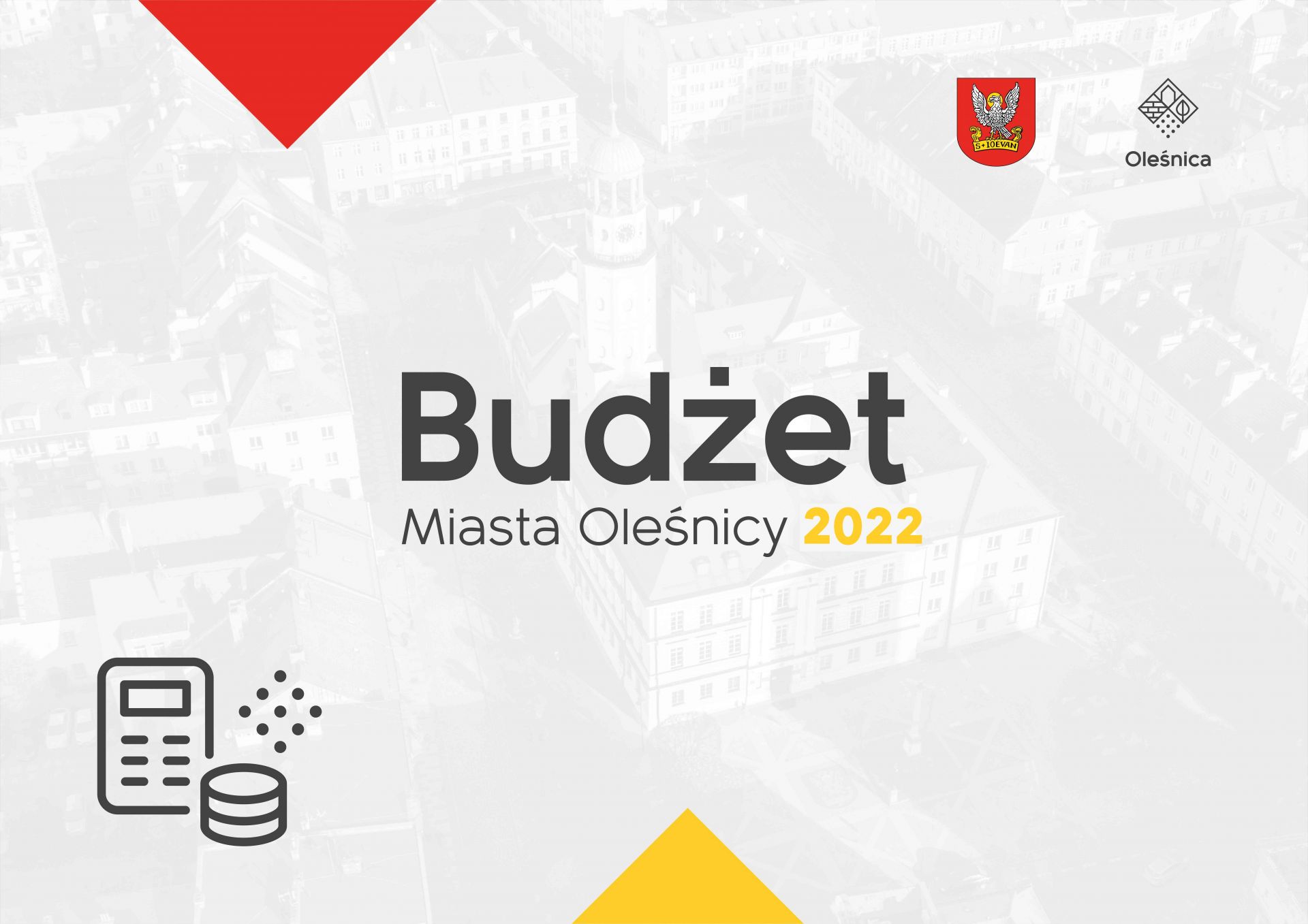budżet grafika