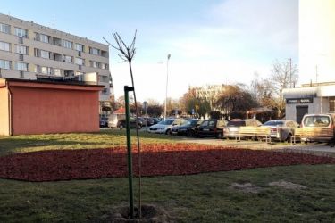 Parki kieszonkowe w Oleśnicy 