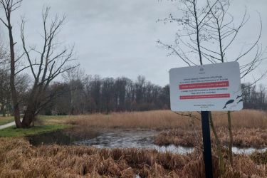 Zakaz amatorskiego połowu ryb wędką na stawie przy ul. Kruczej