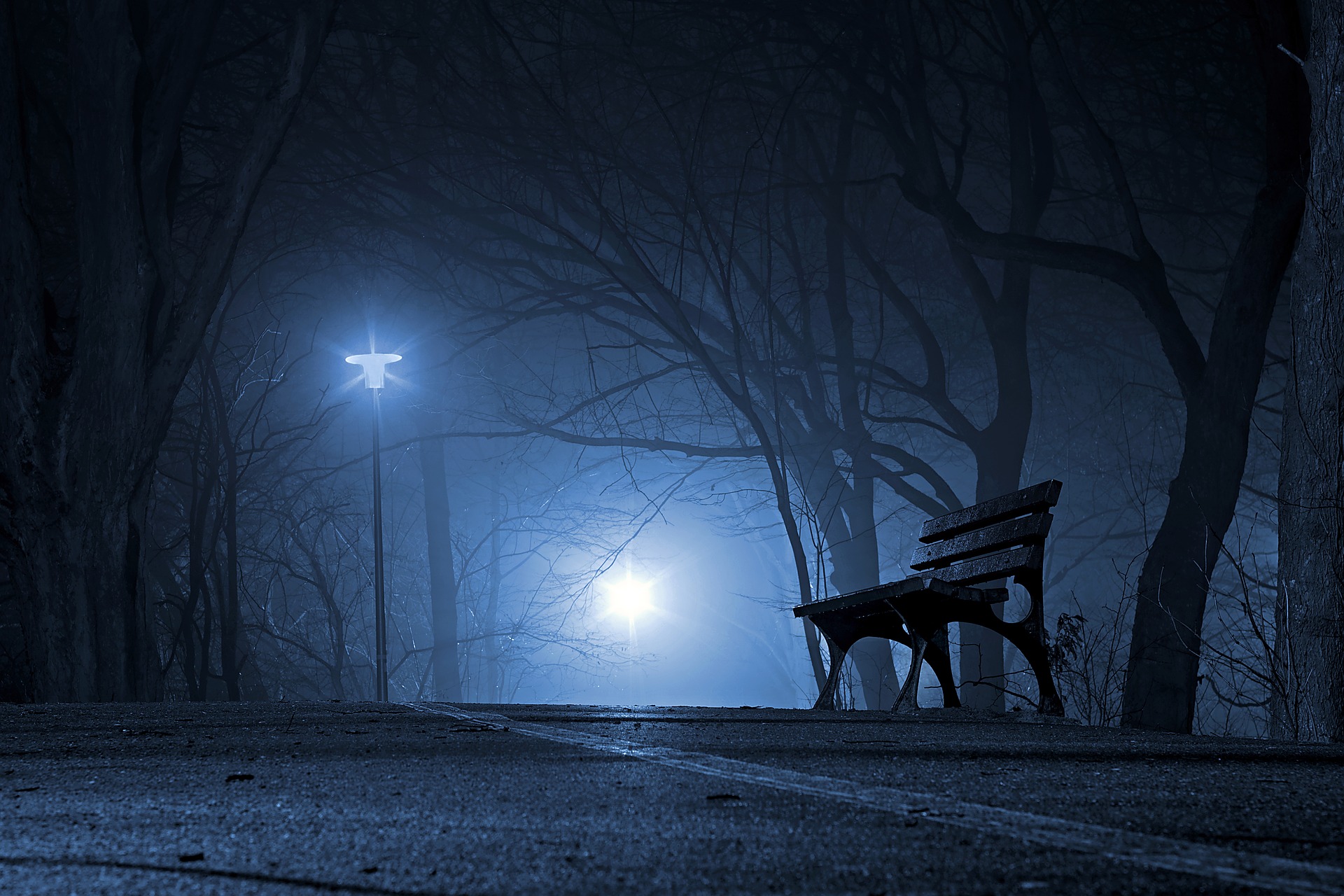 park nocą
