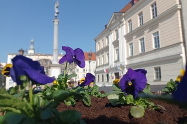Zobacz nowy film promocyjny Oleśnicy – inwestycje 2019-2022