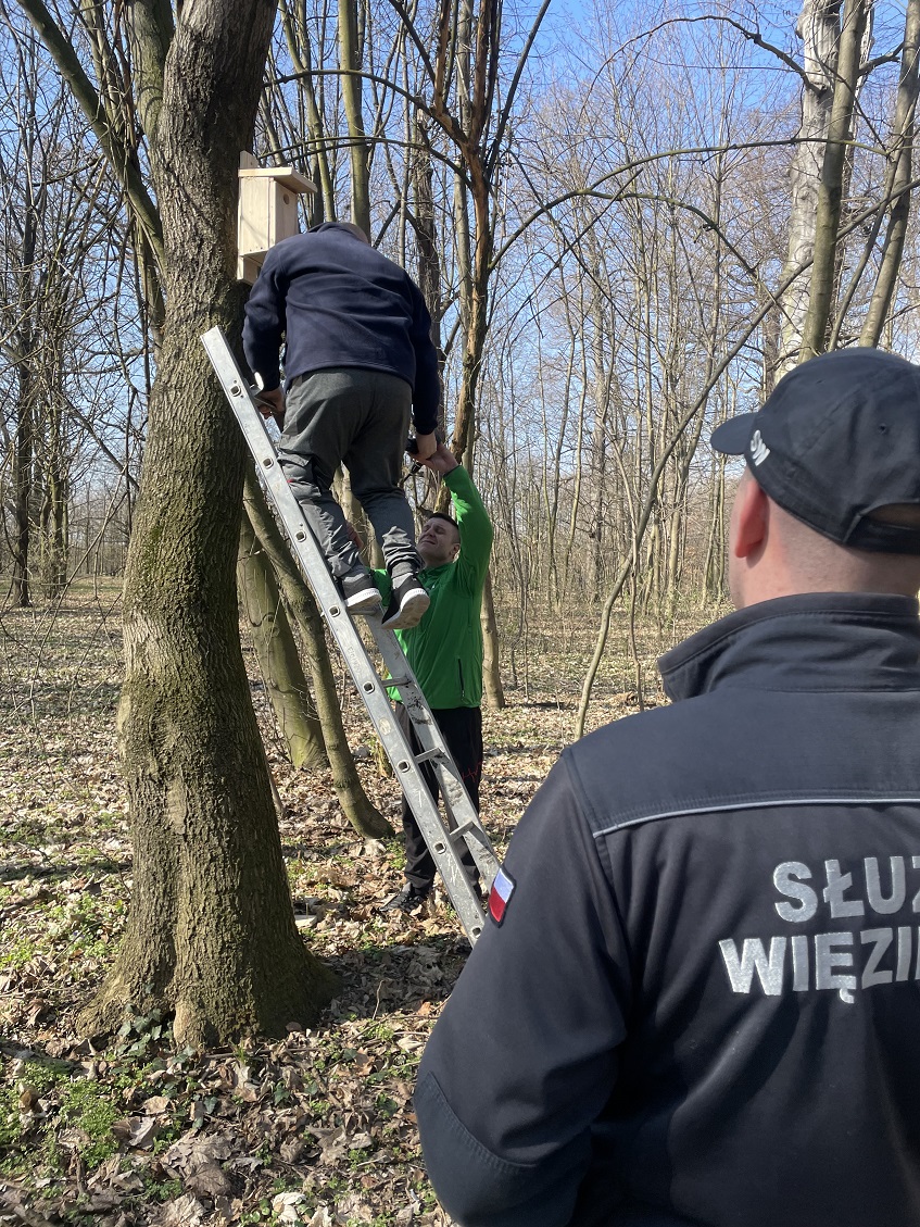 budki lęgowe