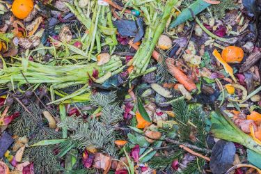 Kompostuję – odzyskuję! Złóż sprawozdanie do końca stycznia