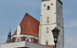 Oleśnicki Jarmark Wspaniałości (1)