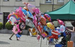 Oleśnicki Jarmark Wspaniałości (4)