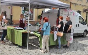 Oleśnicki Jarmark Wspaniałości (9)