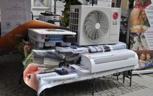 Oleśnicki Jarmark Wspaniałości (3)