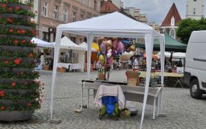 Oleśnicki Jarmark Wspaniałości (6)