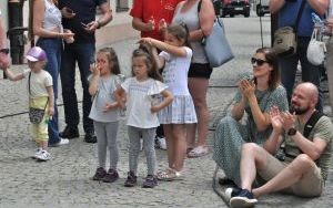 Oleśnicki Jarmark Wspaniałości (8)