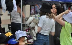 Oleśnicki Jarmark Wspaniałości (1)