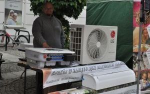 Oleśnicki Jarmark Wspaniałości (3)