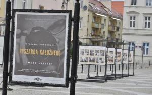 Oleśnicki Jarmark Wspaniałości (5)