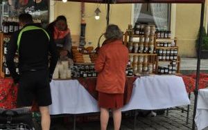 Oleśnicki Jarmark Wspaniałości (12)