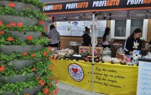 Oleśnicki Jarmark Wspaniałości (14)