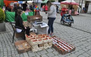 Oleśnicki Jarmark Wspaniałości (15)