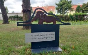 Teren rekreacyjno - wypoczynkowy na Wileńskiej  (9)