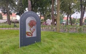 Teren rekreacyjno - wypoczynkowy na Wileńskiej  (3)
