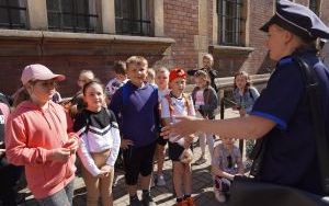 Odkryj Olesnickę (4)