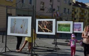 Dni Oleśnicy 2022 (14)