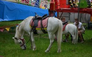 Dni Oleśnicy 2022 (8)