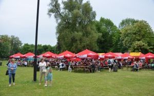 Dni Oleśnicy 2022 (11)