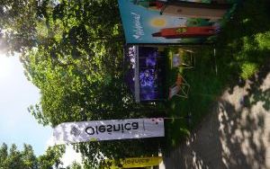 Ochota na Dolny Śląsk (2)