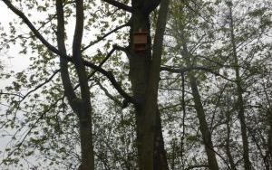 Budki dla ptaków - OBO (9)