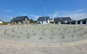 Budowa ulicy Belgijskiej została zakończona (9)