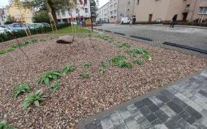 Szkolna?Matejki (6)