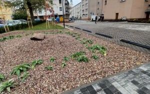 Szkolna?Matejki (5)