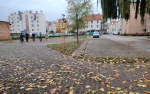 Szkolna?Matejki (2)