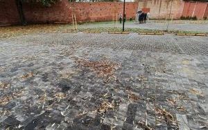 Szkolna?Matejki (8)