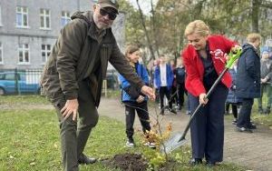Drzewa Niepodległości (5)