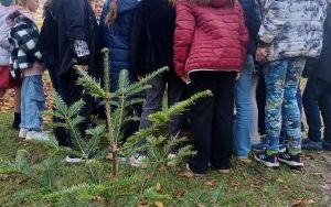 Drzewa Niepodległości (16)