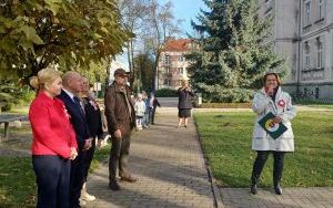 Drzewa Niepodległości (9)