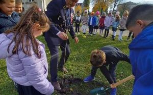 Drzewa Niepodległości (7)