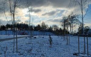 Park Południowy (12)