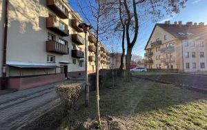 OBO 23 Sejmowa (4)